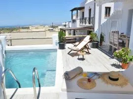 Villa Erato Naxian album with private pool in Naxos
