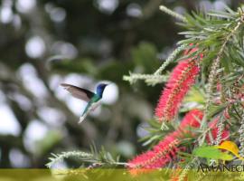 Hospedaje Amanecer, B&B di Turrialba