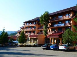 Hotel Bradul, hotel in Durău