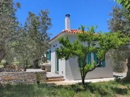 The Kampos House
