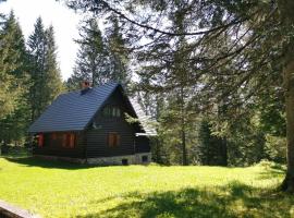 Chalet Stara Jelka Pokljuka, cabin in Zgornje Gorje