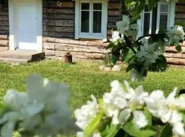 Lootsimaja - Pilot's House - Orjaku Harbour