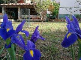 Apartments Gorka, hotel en Vodice