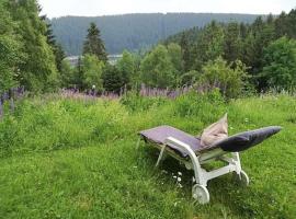 Harz-See-Lodge, hotel v destinaci Schulenberg im Oberharz