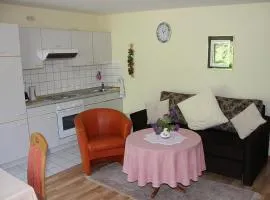 Apartment Baden Baden Haus am Ibachweg