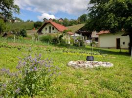 Domačija Vesel, villa em Trebnje