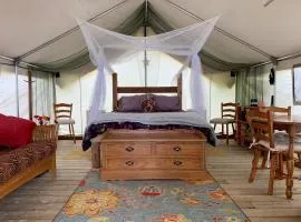 So Damn Lucky Glamping