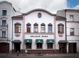 Penzion Zelená Žába, hotel u blizini zračne luke 'Zračna luka Pardubice - PED', 