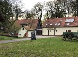 Ferienwohnung 1 - Gourmetzimmer