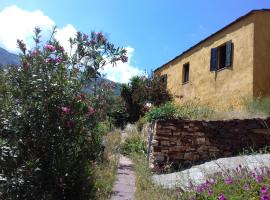 Ikarian Centre - Accommodation & mountain hiking, feriebolig i Evdilos