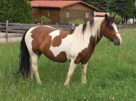 Brīvdienu māja CS-Ranchhaus pilsētā Hörselberg-Hainich