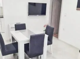 Apartment Srima