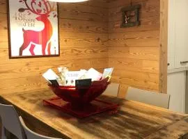 Alloggio turistico Maison S Anselme VDA Aosta CIR 0015