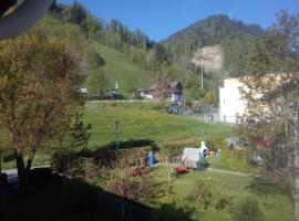 Ferienwohnung ELSA, Hotel in Immenstadt im Allgäu