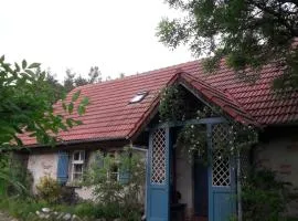 Dom w Puszczy