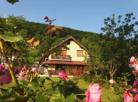 Blue Moon, holiday rental in Ličko Petrovo Selo