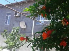 Guest House near Baku airport
