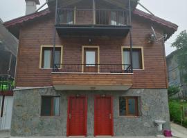 Ayder Palas Apart Hotel, отель в городе Плато Айдер