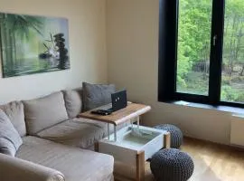 Triplex Residence, Lux-appartment in the central part