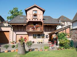 Chez René, villa in Ammerschwihr