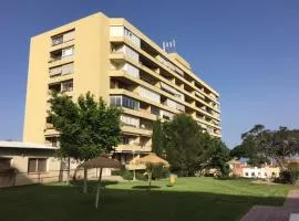 playa colina
