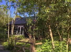 Alder Cabin, lodge in Kilkenny