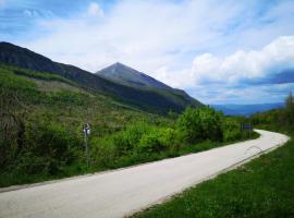 Sobe Gmitrovic, hotel u gradu Rtanj