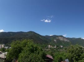 Akaki's Guesthouse, gistihús í Borjomi