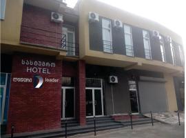 Hotel LEADER, hotel Tbiliszi nemzetközi repülőtér - TBS környékén Tbilisziben