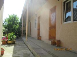 David Guest house, vacation rental in Alakhadzi