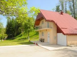 Village House Aleksic
