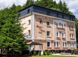 Honour and Grace Hotel, hotel v destinaci Jáchymov