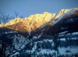 Arve
