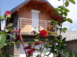 Apartman Darija, spa hotel in Vrdnik