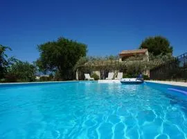 le Gecko en Provence