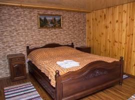 Карпатське сяйво, guest house in Vizhni Siniyvir