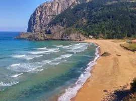Laga Blue Surf