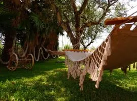 B&B Villa del Sole