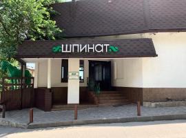 Shpinat: Odessa'da bir otel