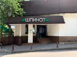 Shpinat, inn in Odesa