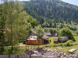 Садиба ,,У Мітріци''