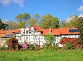 Ferienwohnung Die Fuchsmühle, cheap hotel in Niedermeiser