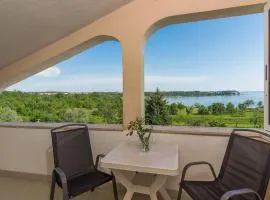 Apartments Saladinka