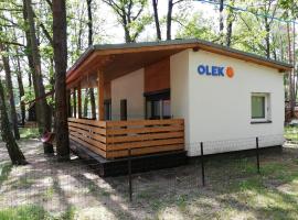 OLEK – dom wakacyjny w mieście Schodnia Stara