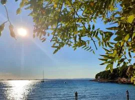 Apartman Murter Jadranko