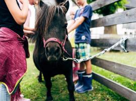 Gut Neusess, farm stay in Mauterndorf