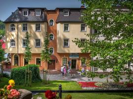 Willa Alexander, hotel in Lądek-Zdrój