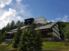 Kinder- und Familienhotel Nockalm, hotel v destinácii Innerkrems