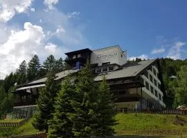 Kinder- und Familienhotel Nockalm