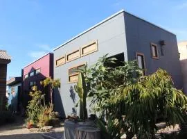 Los Cactus de Islón